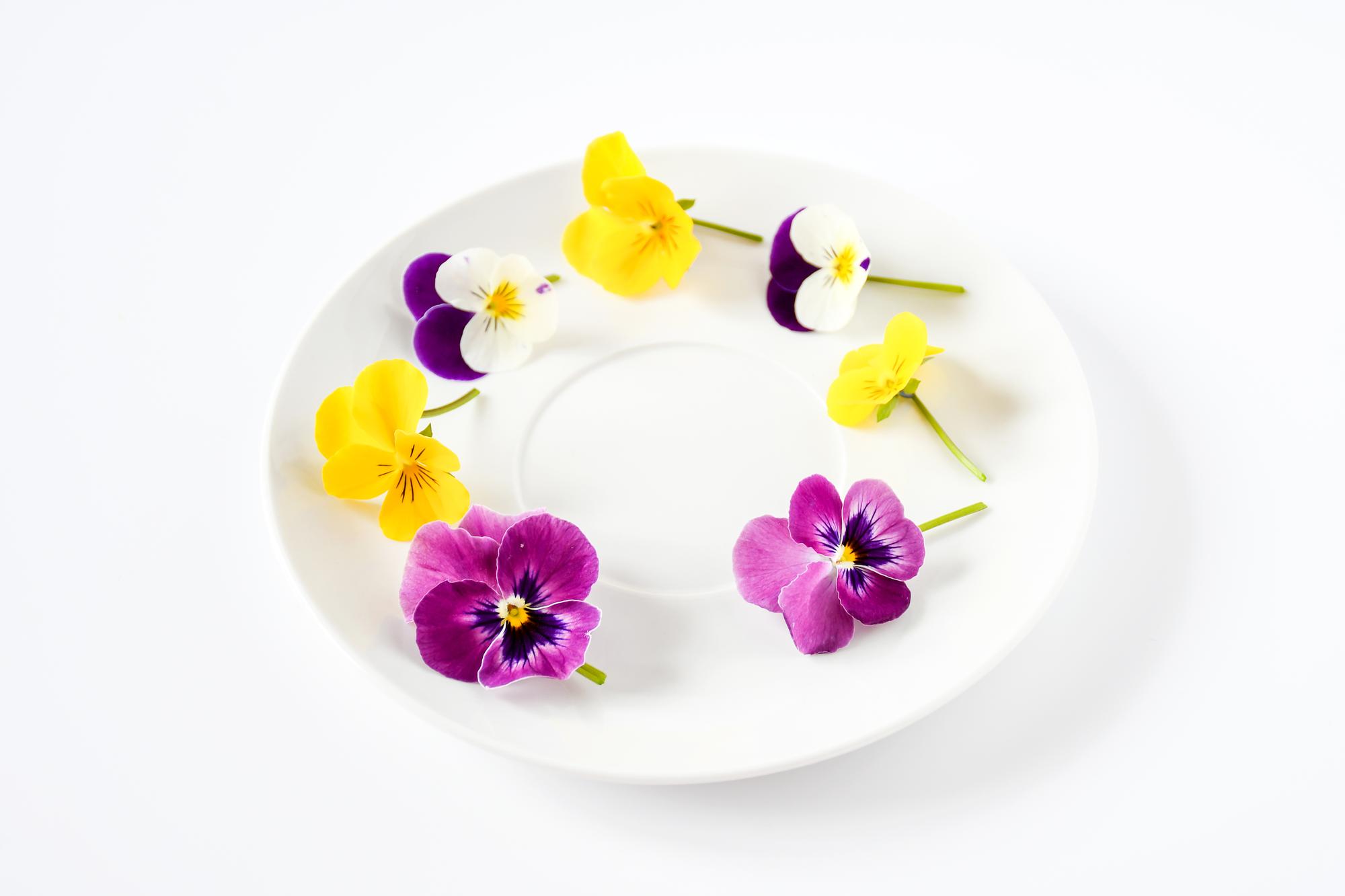 Plated starter with edible flowers